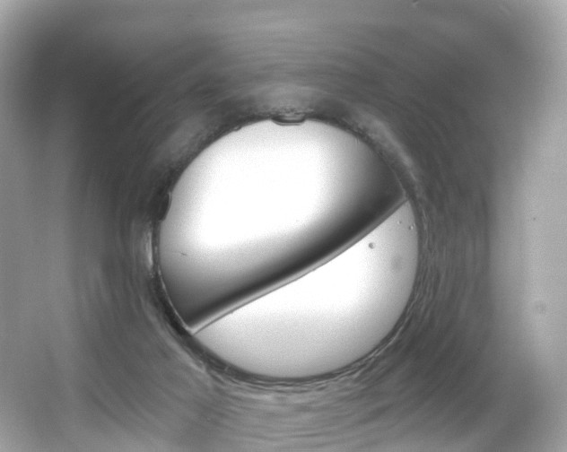 X0000066090021200603101015