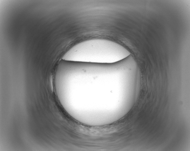 X0000066090022200603101015