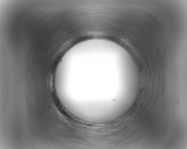 X0000066090024200603101015