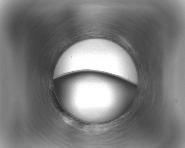 X0000066090025200603101014