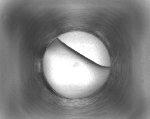 X0000066090026200603101014