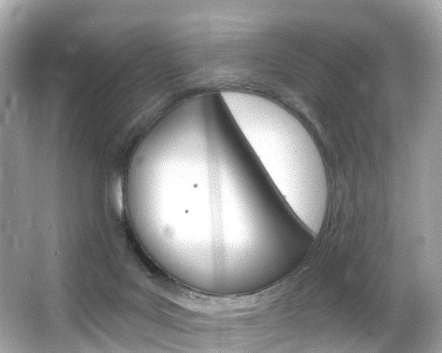 X0000066090027200603101014