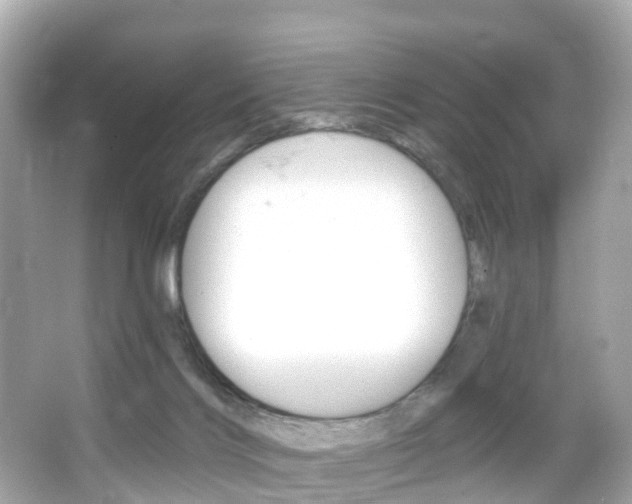 X0000066090028200603101014