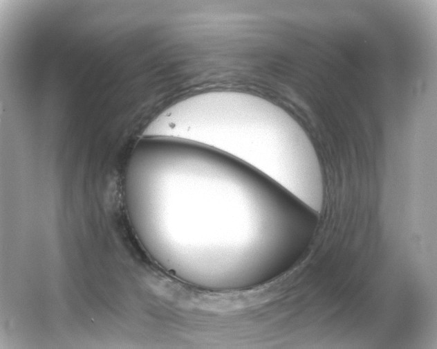 X0000066090029200603101014