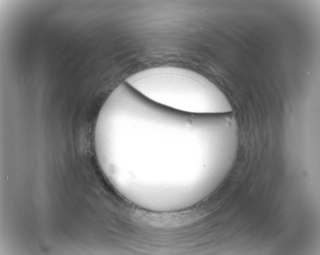 X0000066090030200603101014