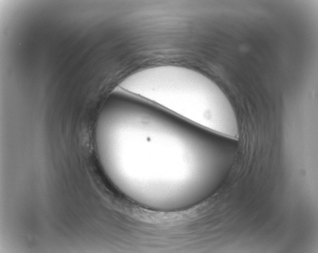 X0000066090031200603101014