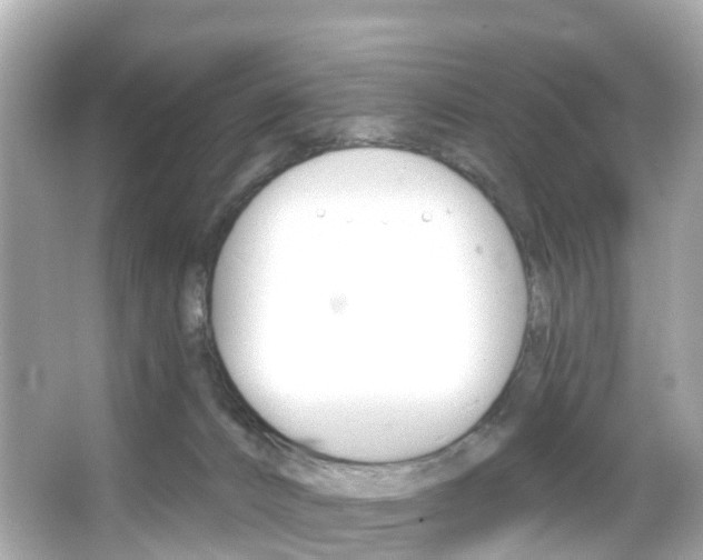 X0000066090032200603101014