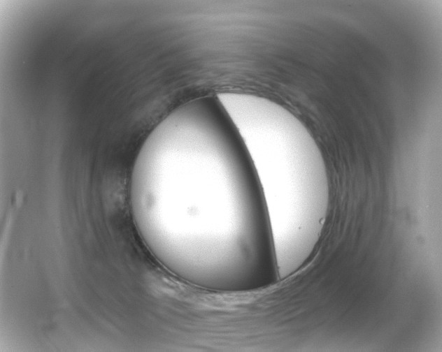 X0000066090033200603101014