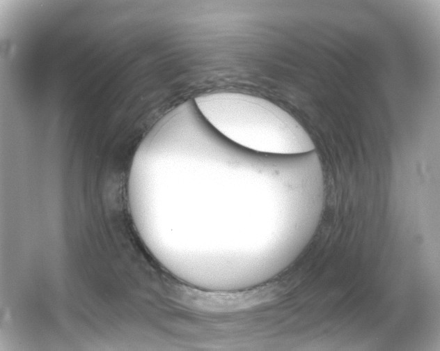 X0000066090034200603101014