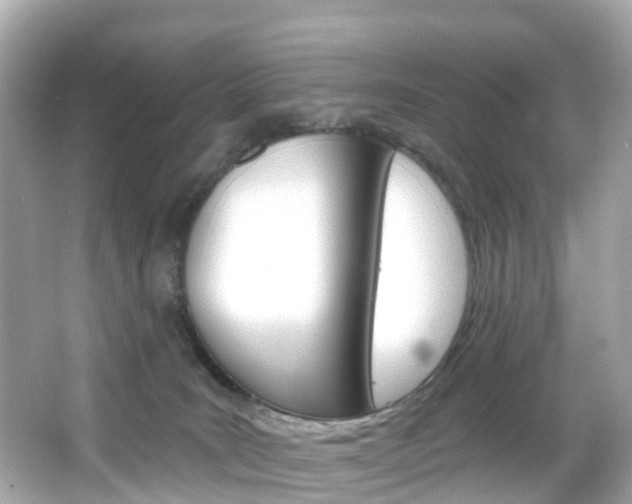 X0000066090035200603101014