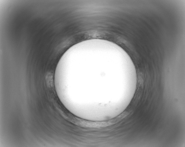 X0000066090036200603101014