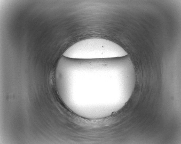 X0000066090038200603101014