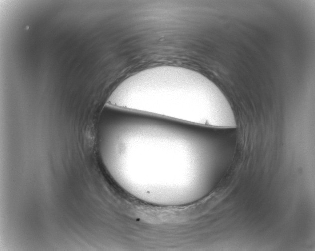 X0000066090040200603101014