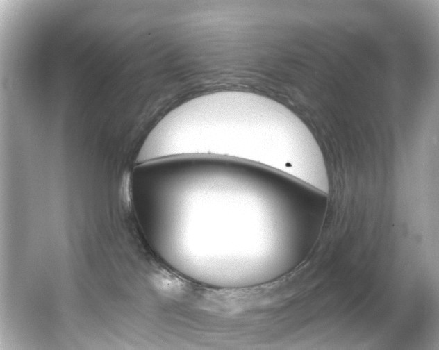 X0000066090041200603101014