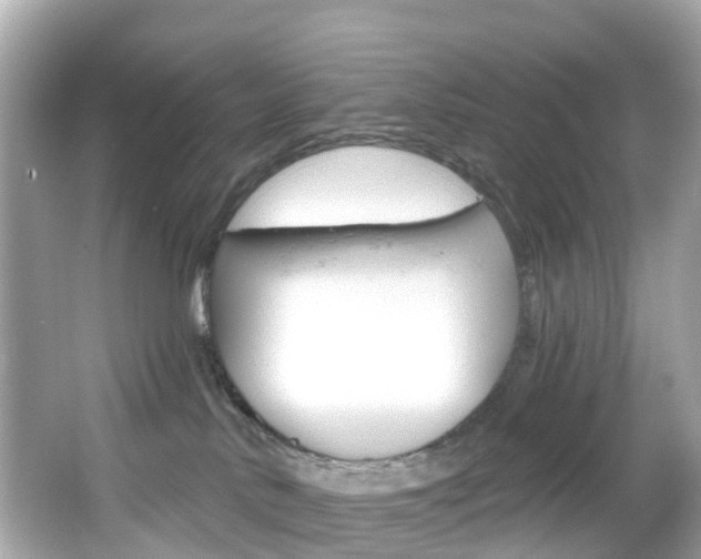 X0000066090042200603101014