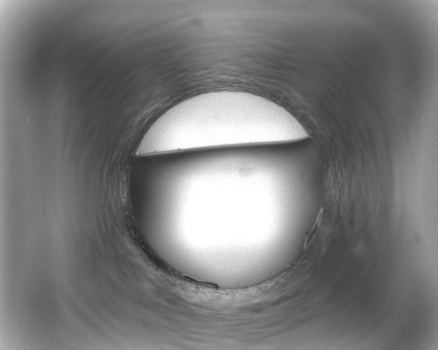 X0000066090043200603101014