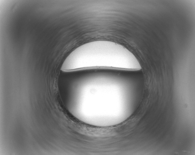 X0000066090044200603101014