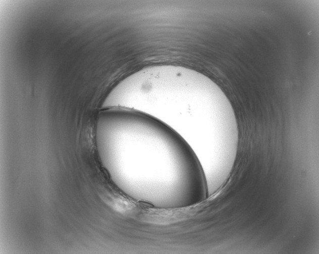 X0000066090045200603101014