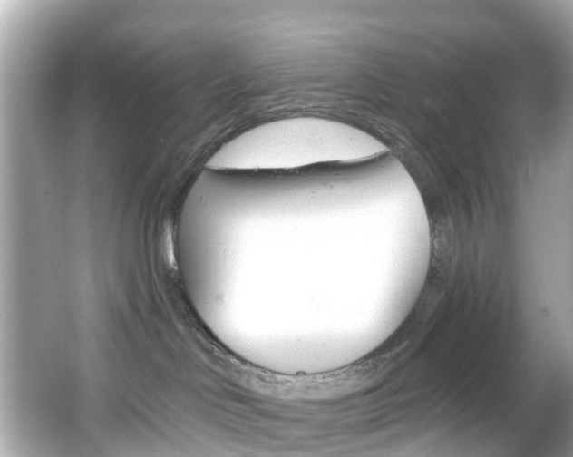 X0000066090046200603101014