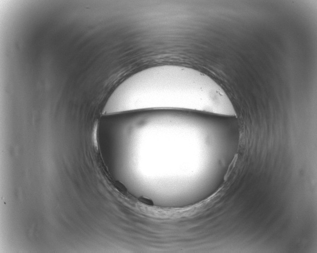 X0000066090047200603101014