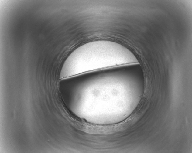 X0000066090048200603101014