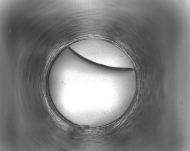 X0000066090049200603101013