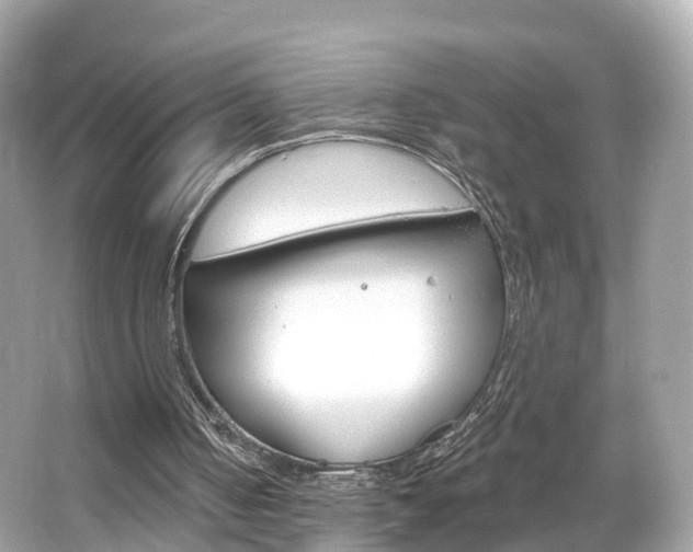 X0000066090050200603101013