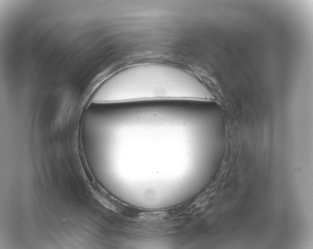 X0000066090051200603101013