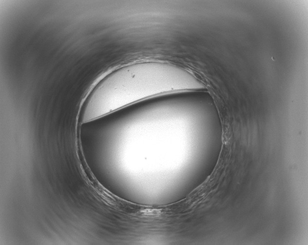 X0000066090052200603101013