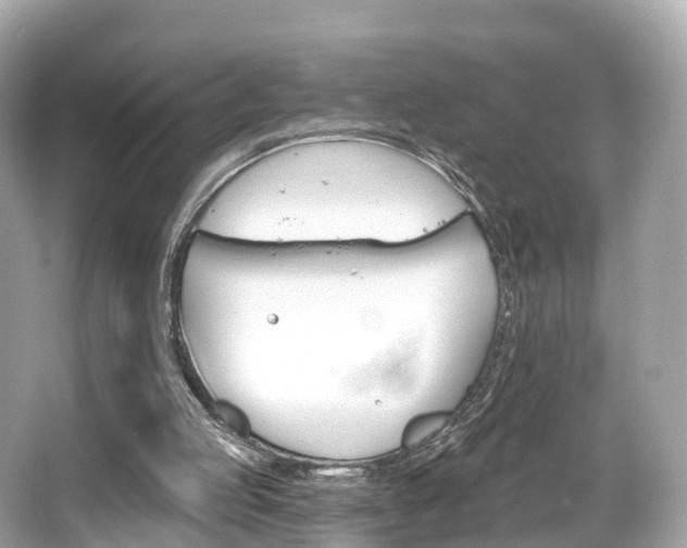 X0000066090053200603101013