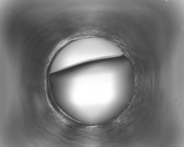 X0000066090054200603101013