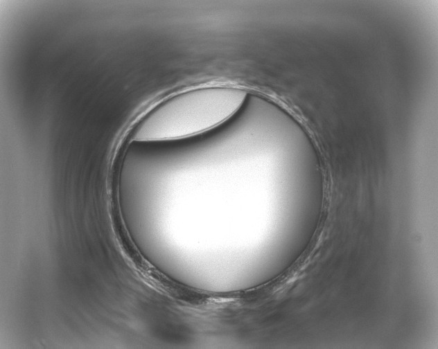 X0000066090055200603101013