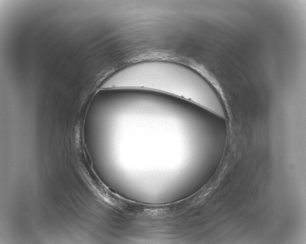 X0000066090057200603101013