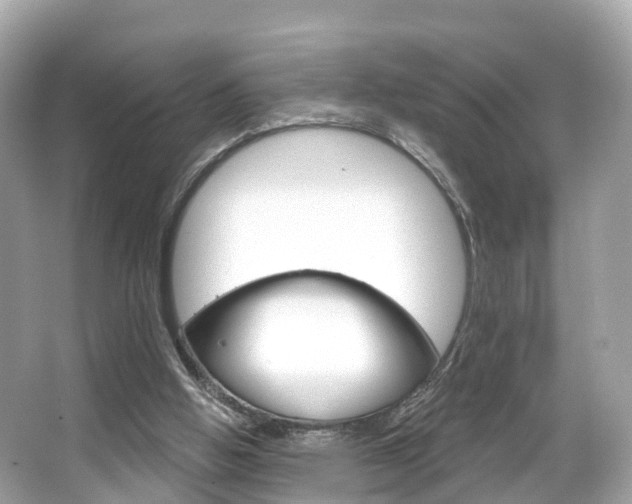 X0000066090058200603101013