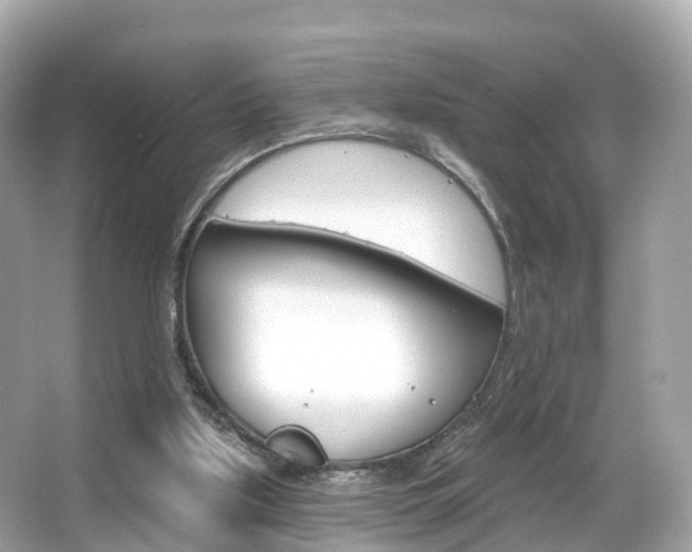 X0000066090059200603101013