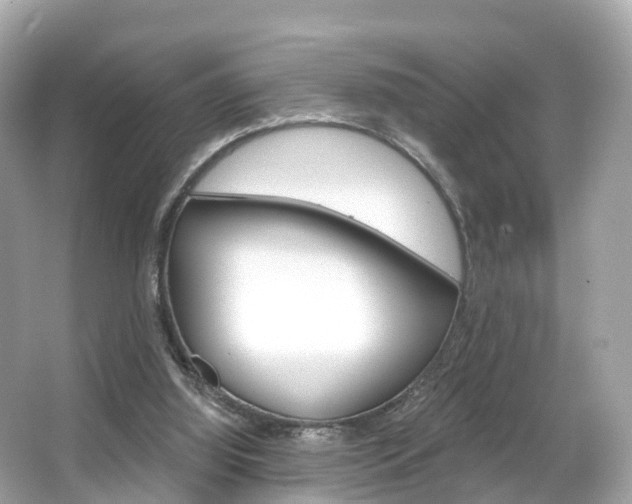 X0000066090060200603101013