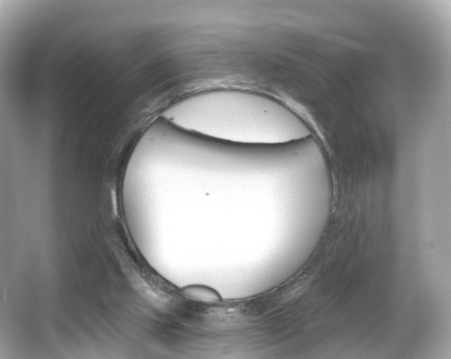 X0000066090061200603101014