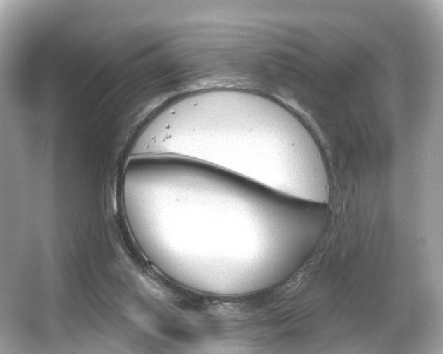 X0000066090062200603101014