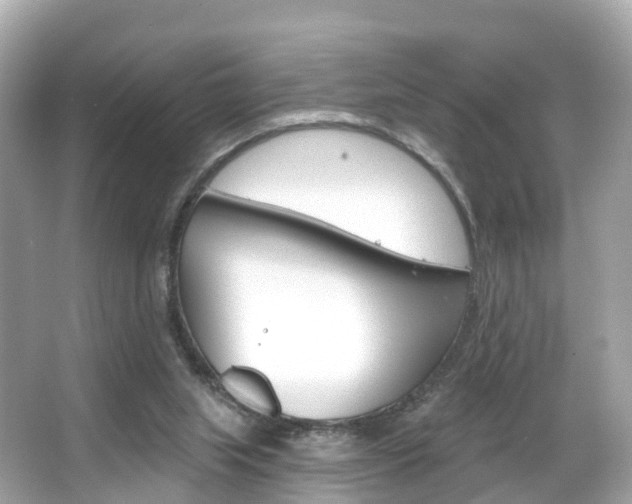 X0000066090063200603101014