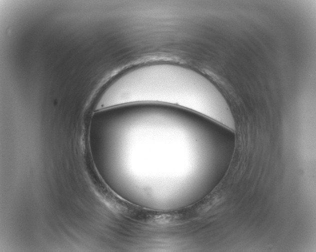 X0000066090064200603101014