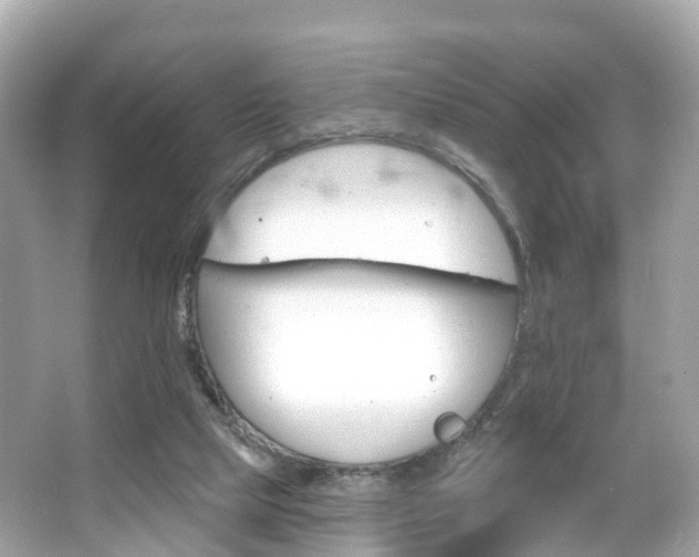 X0000066090065200603101014