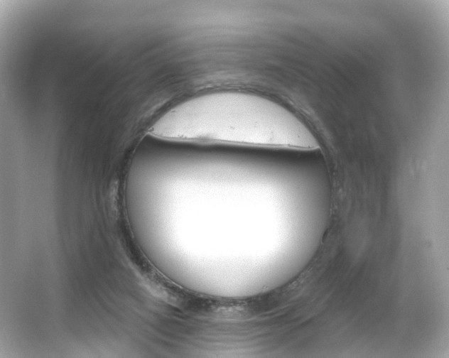 X0000066090066200603101014