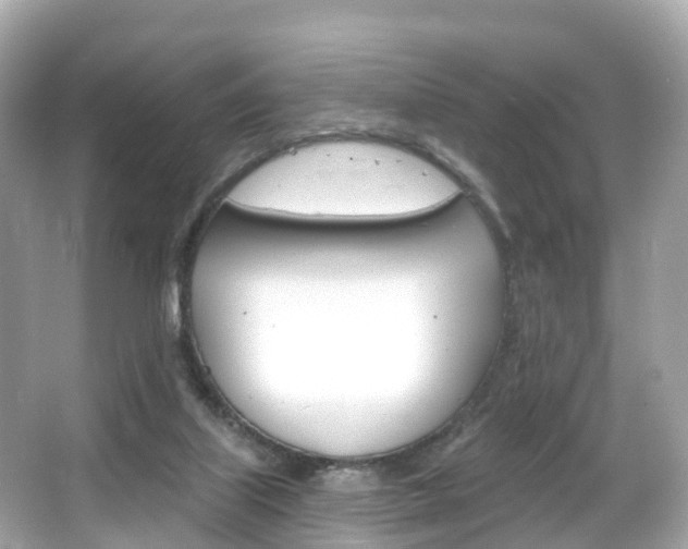 X0000066090067200603101014