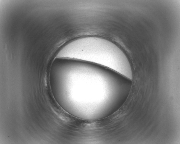 X0000066090068200603101014