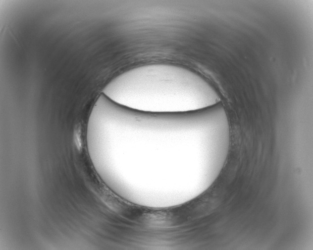 X0000066090069200603101014