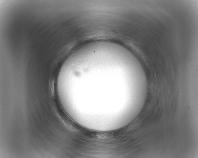 X0000066090070200603101014