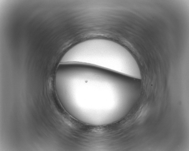 X0000066090071200603101014