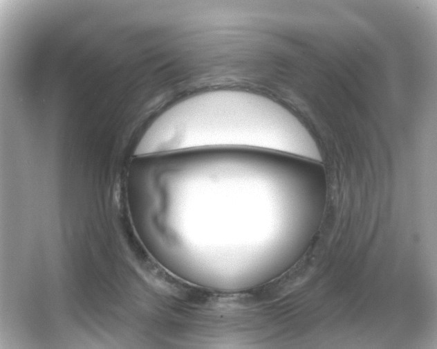 X0000066090072200603101014