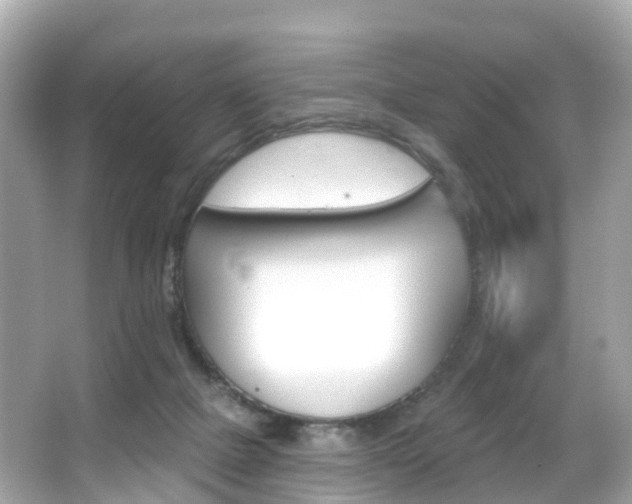 X0000066090073200603101014