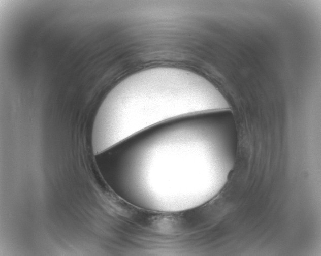 X0000066090074200603101014